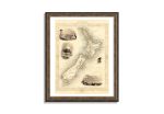 Map of New Zealand Antique Poster Print on Matte Paper Map of Auckland on Sale