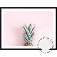 Pineapple On Pink Supply