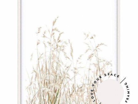 Country Grass no.1 Online now