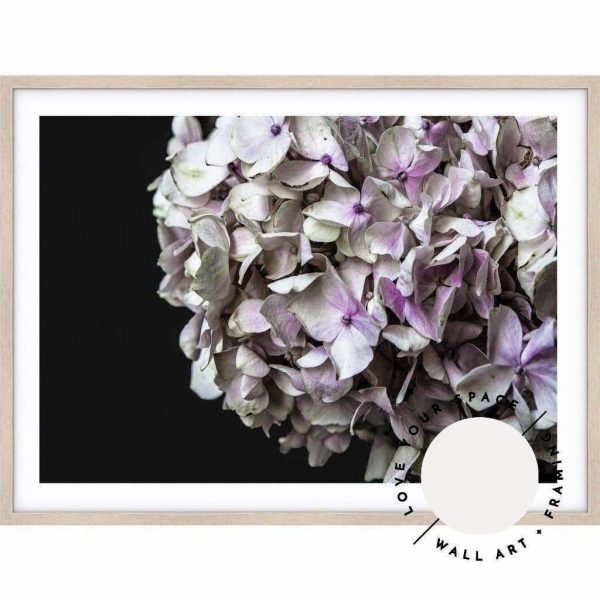 Hydrangea I For Discount