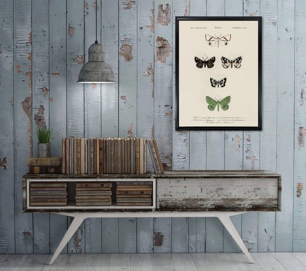 Vintage Butterfly Chart Plate 18 Illustration Decorative Wall Print Poster Science Chart Home Decor Wall Hangings BUY 3 Get 4th PRINT FREE Cheap