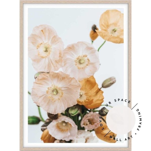 Pretty Poppies no.1 Sale