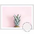 Pineapple On Pink Supply