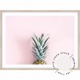 Pineapple On Pink Supply