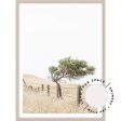 Fence - Country Victoria Online Sale