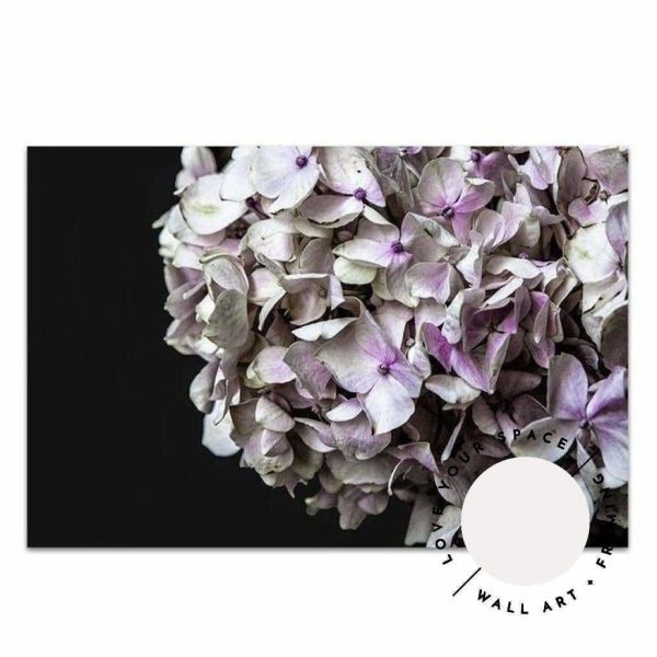 Hydrangea I For Discount