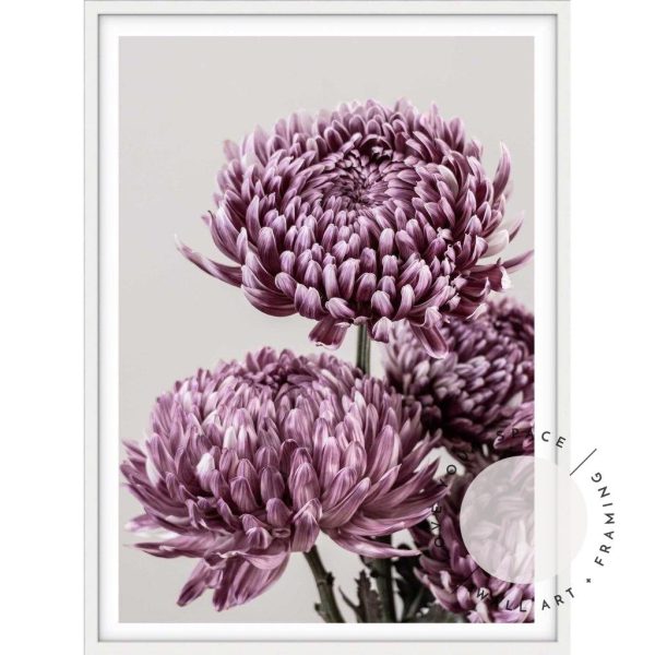 Mauve Chrysanthemum I Sale