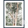 Valley Gumtrees III Discount