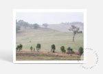 Bonnie Doon - Victoria For Sale