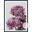 Mauve Chrysanthemum I Sale