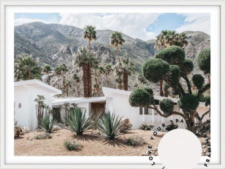 Palm Springs no.2 on Sale