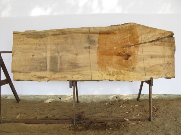 Spalted Maple B Slab 3.5  x 26  x 7  SPM-224 Supply