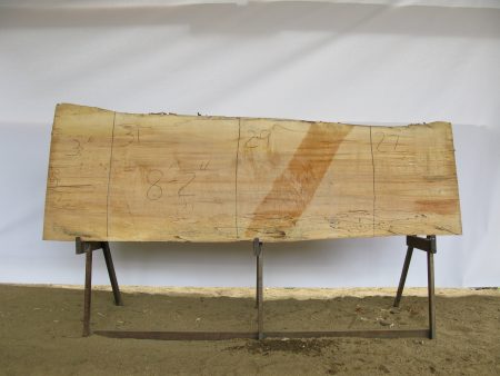 Spalted Maple A Slab 3  x 29  x 8.17  SPM-251 Supply