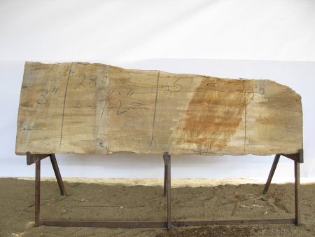 Spalted Maple A Slab 3  x 25  x 7  MAP-237 on Sale