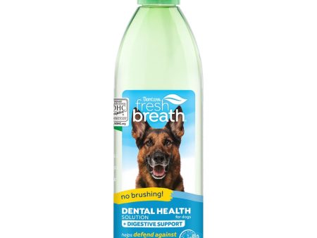 15% OFF: Tropiclean Fresh Breath Oral Care Water Additive Plus Digestive Support For Dogs 16oz Online now